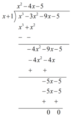 NCERT Solutions Class 9 Maths Chapter 2 Polynomials Exercise 2.4 Q.5, (ii)