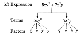 NCERT Solutions Class 7 Maths Chapter 10 Algebraic Expressions  Exercise 10.1